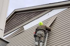 Professional Siding in Edgewood, KY